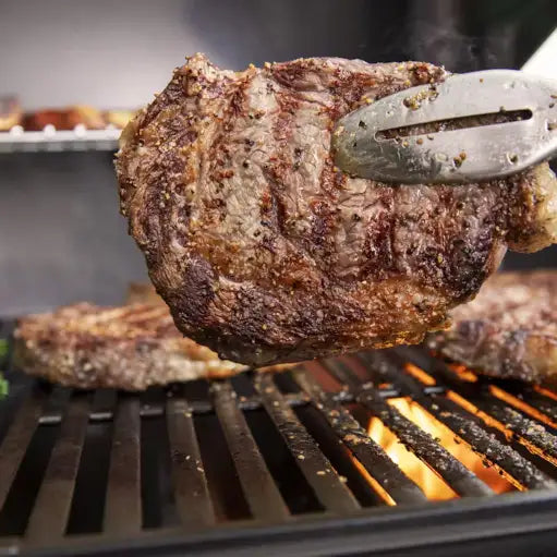 Genesis E-315 barbecue à gaz